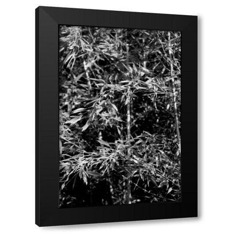 Beach Foliage 1 Black Modern Wood Framed Art Print by Grey, Jace