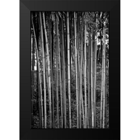 Beach Foliage 2 Black Modern Wood Framed Art Print by Grey, Jace