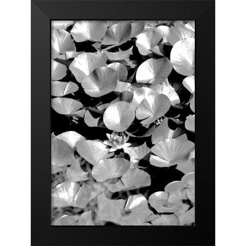 Beach Foliage 5 Black Modern Wood Framed Art Print by Grey, Jace