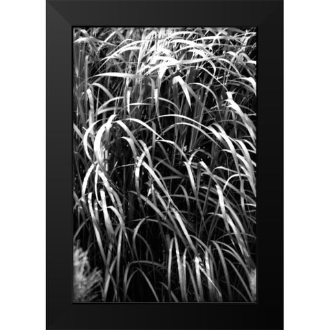 Beach Foliage 7 Black Modern Wood Framed Art Print by Grey, Jace