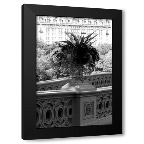 Central Park Bridge 5 Black Modern Wood Framed Art Print by Grey, Jace