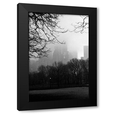 Central Park A Black Modern Wood Framed Art Print with Double Matting by Grey, Jace
