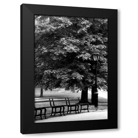 Central Park Benches Black Modern Wood Framed Art Print by Grey, Jace