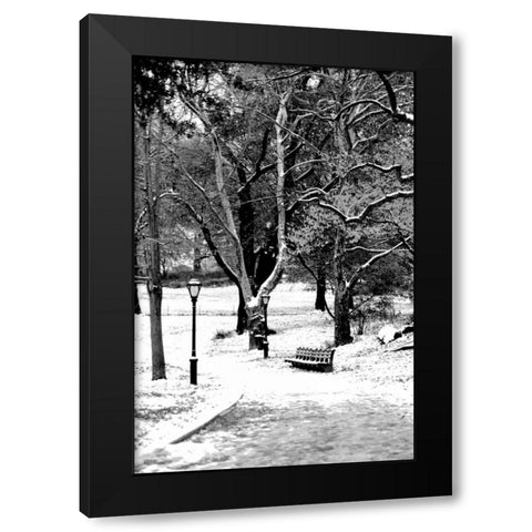 Central Park Snowy Scene Black Modern Wood Framed Art Print by Grey, Jace