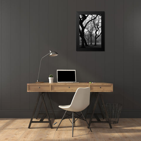 Central Park Dancing Trees Black Modern Wood Framed Art Print by Grey, Jace