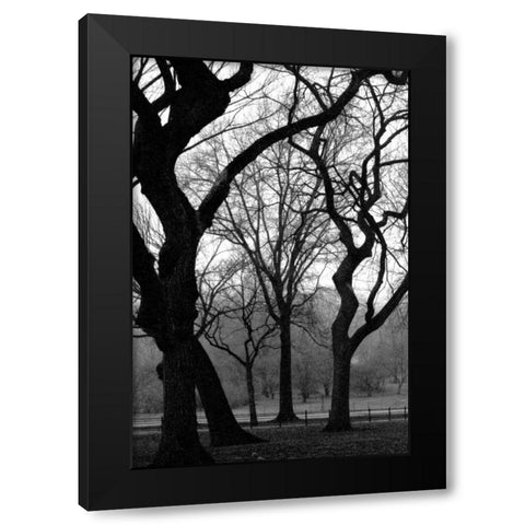 Central Park Dancing Trees Black Modern Wood Framed Art Print with Double Matting by Grey, Jace