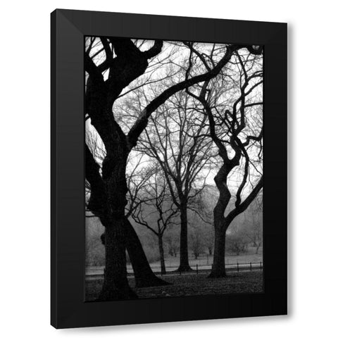 Central Park Dancing Trees Black Modern Wood Framed Art Print by Grey, Jace