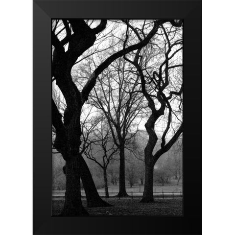 Central Park Dancing Trees Black Modern Wood Framed Art Print by Grey, Jace