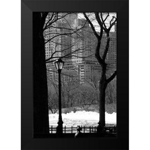 Central Park Concrete Forest Black Modern Wood Framed Art Print by Grey, Jace