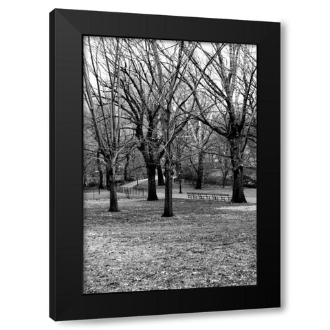 Central Park Image 013 Black Modern Wood Framed Art Print with Double Matting by Grey, Jace