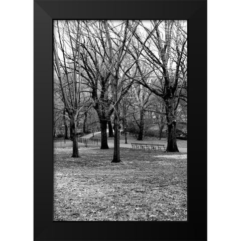 Central Park Image 013 Black Modern Wood Framed Art Print by Grey, Jace