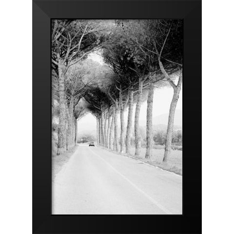 Italy 33 Black Modern Wood Framed Art Print by Grey, Jace
