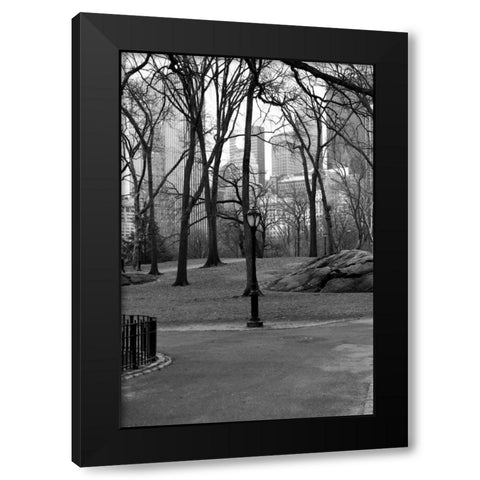 Central Park Image 062 Black Modern Wood Framed Art Print with Double Matting by Grey, Jace