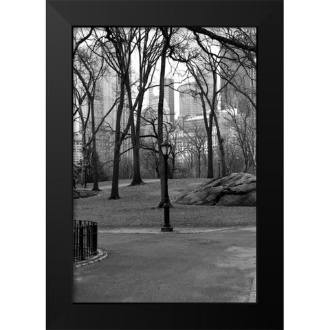 Central Park Image 062 Black Modern Wood Framed Art Print by Grey, Jace