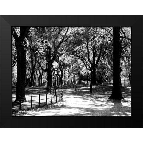 Central Park Walk Black Modern Wood Framed Art Print by Pica, Jeff