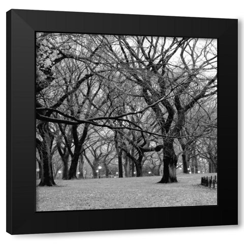 Central Park 2B Black Modern Wood Framed Art Print with Double Matting by Grey, Jace