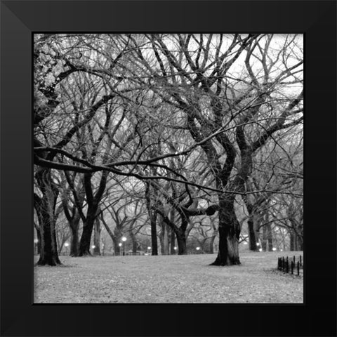 Central Park 2B Black Modern Wood Framed Art Print by Grey, Jace