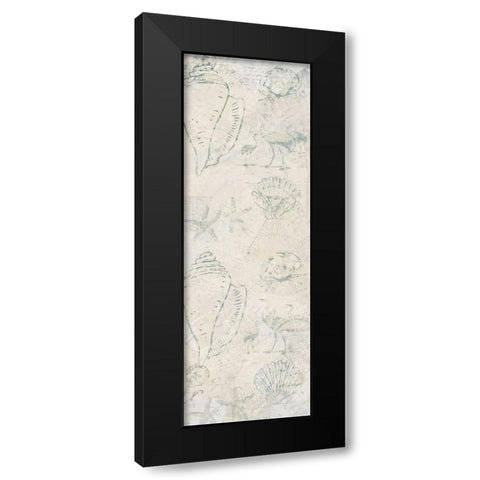 Coastal Shells Black Modern Wood Framed Art Print by Allen, Kimberly