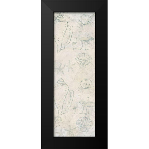 Coastal Shells Black Modern Wood Framed Art Print by Allen, Kimberly