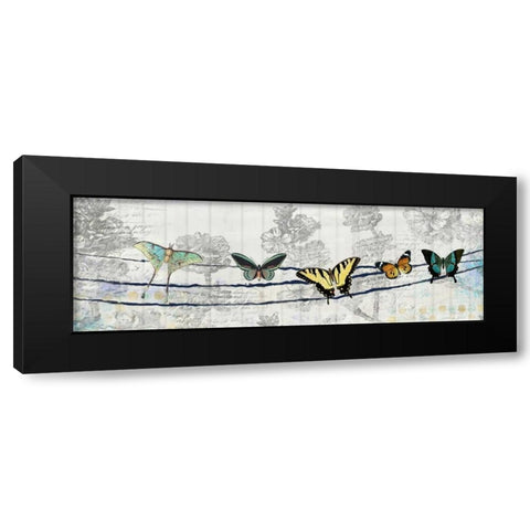 Butterfly Day Black Modern Wood Framed Art Print by Allen, Kimberly