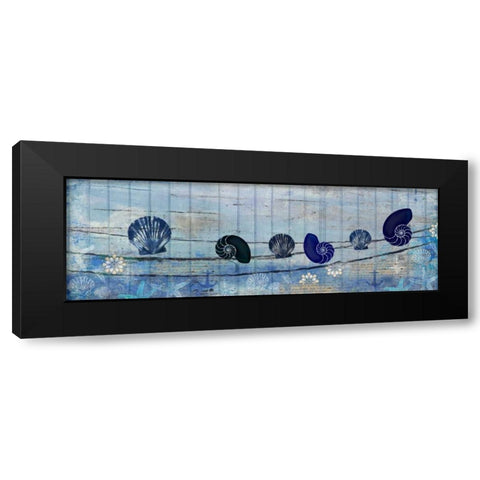 Coastal Shells Black Modern Wood Framed Art Print with Double Matting by Allen, Kimberly