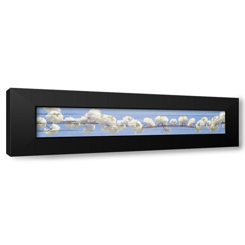White Blossoms Black Modern Wood Framed Art Print with Double Matting by Kimberly, Allen