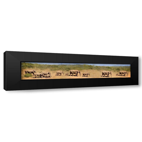 Traveling Family Black Modern Wood Framed Art Print by Kimberly, Allen