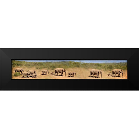 Traveling Family Black Modern Wood Framed Art Print by Kimberly, Allen