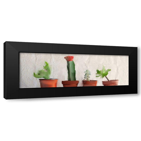 Potted Row Black Modern Wood Framed Art Print with Double Matting by Kimberly, Allen