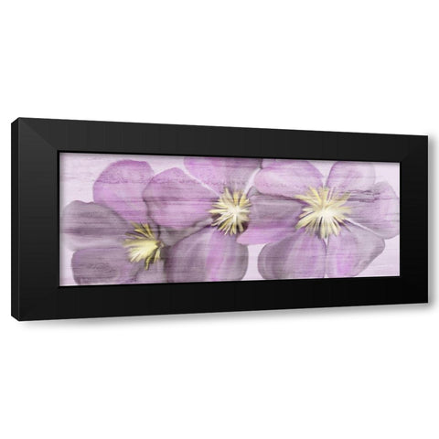 Violet Clematis Black Modern Wood Framed Art Print with Double Matting by Kimberly, Allen