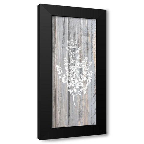 Botanical Wood 2 Black Modern Wood Framed Art Print with Double Matting by Allen, Kimberly