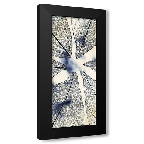 Transparent 1 Black Modern Wood Framed Art Print with Double Matting by Allen, Kimberly
