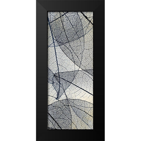 Transparent 2 Black Modern Wood Framed Art Print by Allen, Kimberly