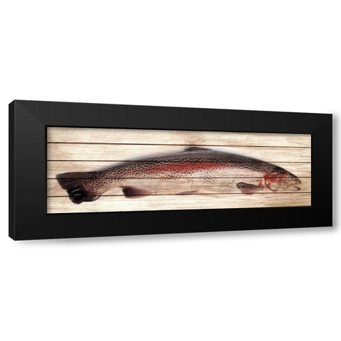 Trout 1 Black Modern Wood Framed Art Print by Allen, Kimberly