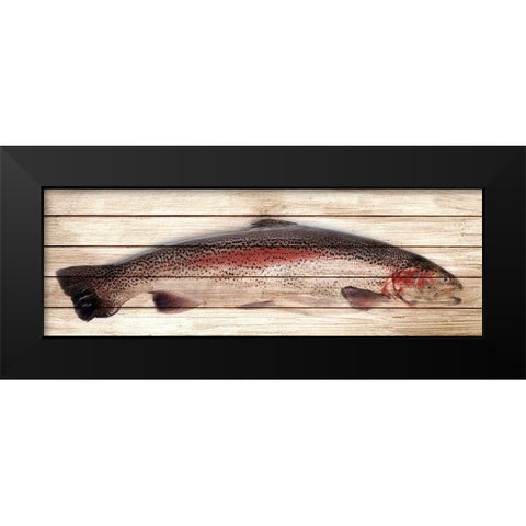 Trout 1 Black Modern Wood Framed Art Print by Allen, Kimberly