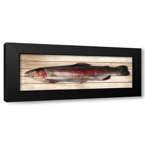 Trout 2 Black Modern Wood Framed Art Print by Allen, Kimberly