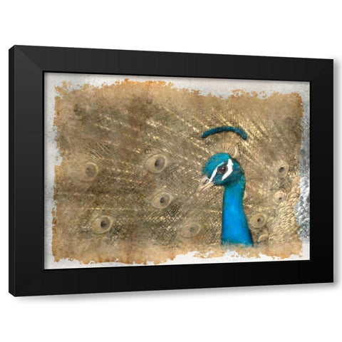 Antique Peaccock Black Modern Wood Framed Art Print with Double Matting by Allen, Kimberly