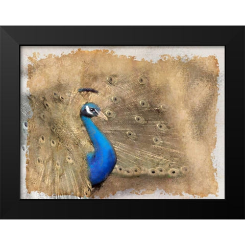 Antique Peackock 2 Black Modern Wood Framed Art Print by Allen, Kimberly