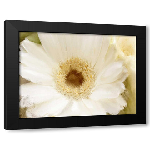 In Bloom Black Modern Wood Framed Art Print with Double Matting by Allen, Kimberly
