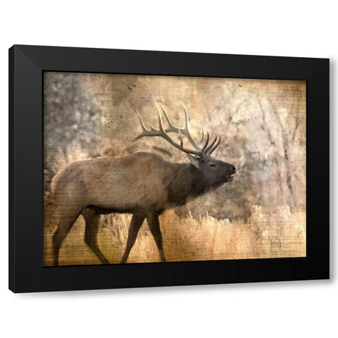 Morning Walk Black Modern Wood Framed Art Print by Allen, Kimberly