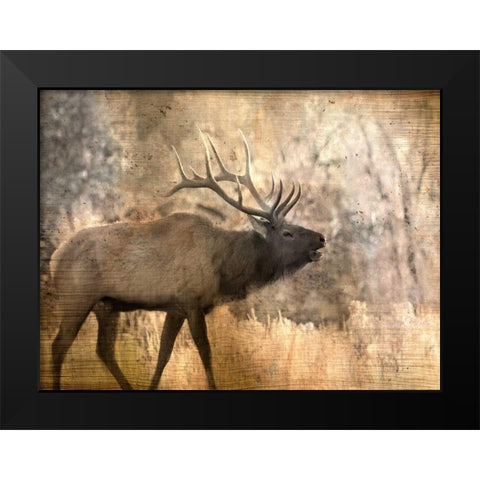 Morning Walk Black Modern Wood Framed Art Print by Allen, Kimberly