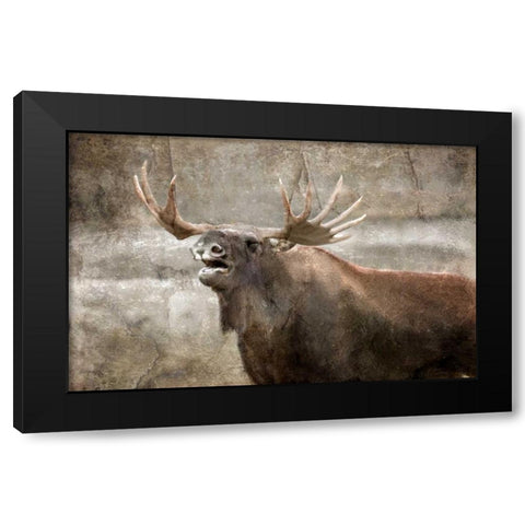 Winters Day Black Modern Wood Framed Art Print with Double Matting by Allen, Kimberly