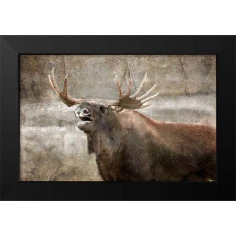 Winters Day Black Modern Wood Framed Art Print by Allen, Kimberly