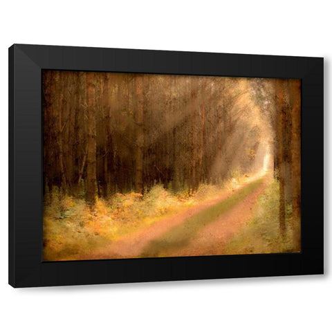 Road To Enlightenment Black Modern Wood Framed Art Print with Double Matting by Allen, Kimberly