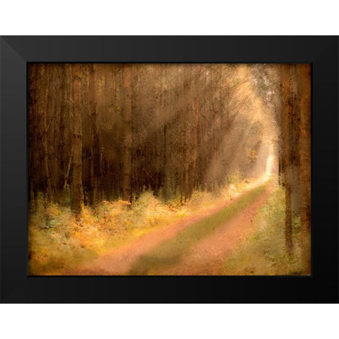 Road To Enlightenment Black Modern Wood Framed Art Print by Allen, Kimberly
