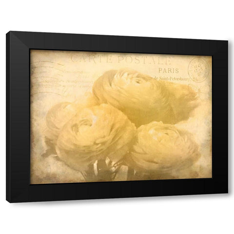 Ranunkeln Blooms Black Modern Wood Framed Art Print with Double Matting by Allen, Kimberly