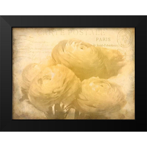 Ranunkeln Blooms Black Modern Wood Framed Art Print by Allen, Kimberly