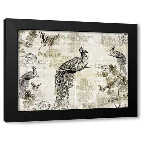Music Notes Peacocks Black Modern Wood Framed Art Print with Double Matting by Allen, Kimberly