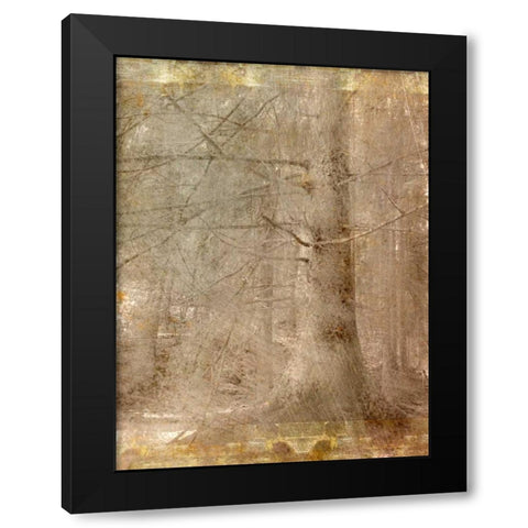 In the Forest Black Modern Wood Framed Art Print by Allen, Kimberly