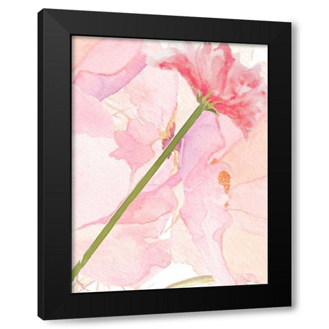 Sympathy Flower Black Modern Wood Framed Art Print with Double Matting by Allen, Kimberly